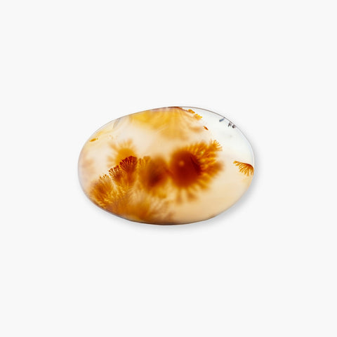 Dendritic Agate: Meaning, Benefits, and Uses