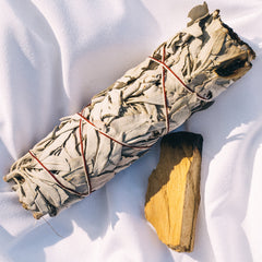 Understanding Sage: A Guide to Its Varieties and Spiritual Uses