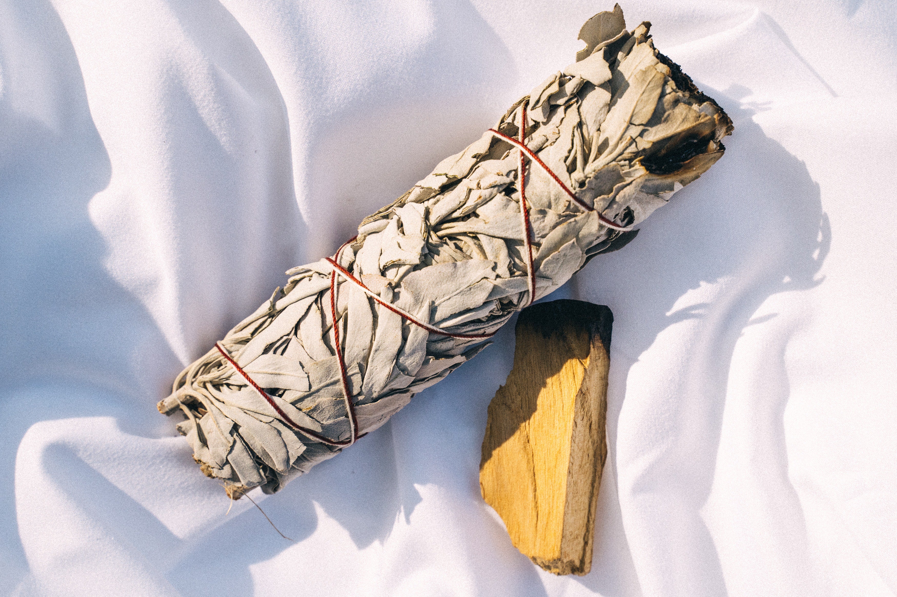 Understanding Sage: A Guide to Its Varieties and Spiritual Uses