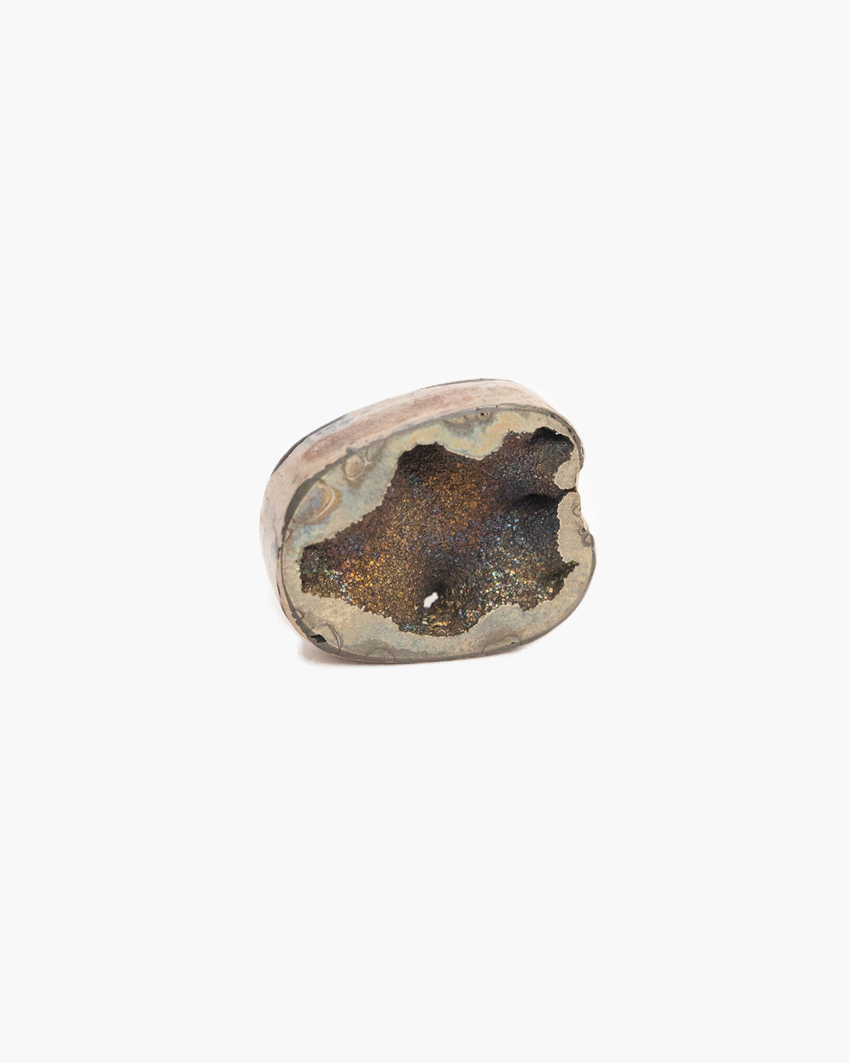 Pyritised Ammonite – N°01